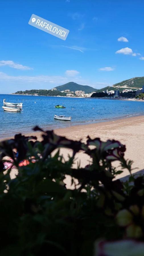 Vidakovic Apartment Budva